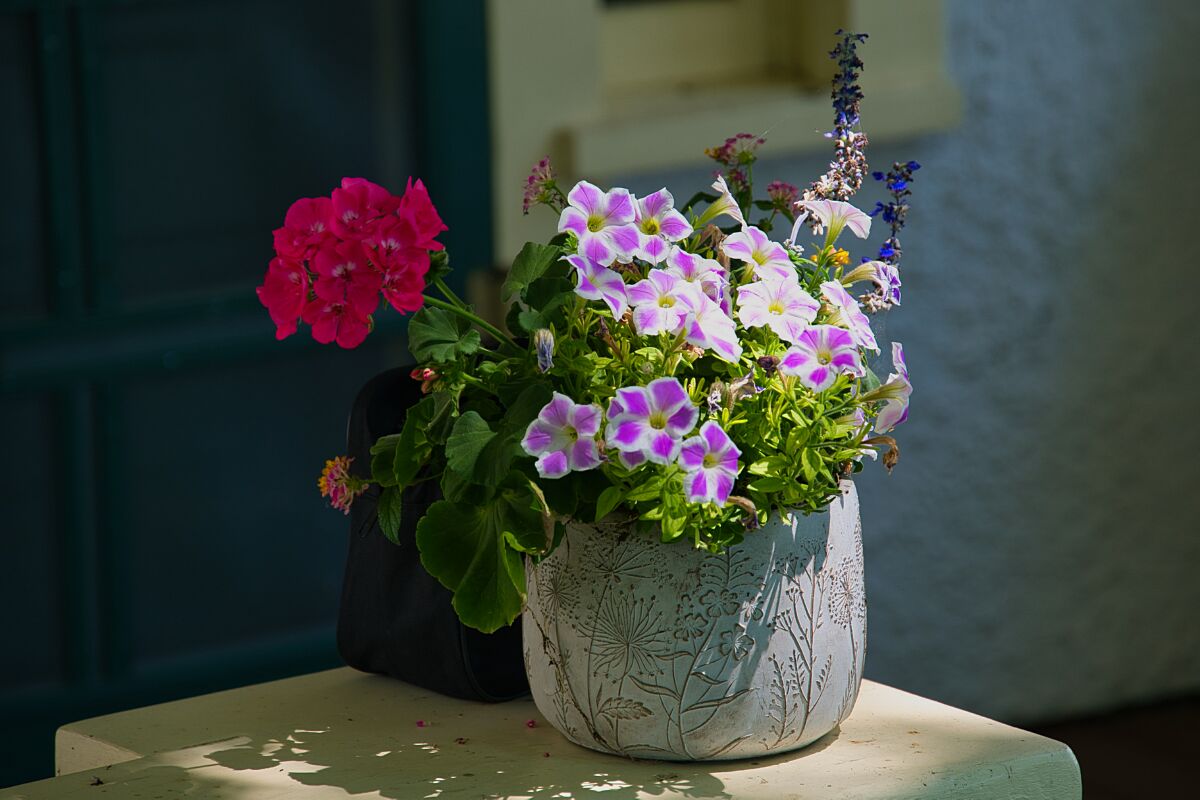 Porch Pot